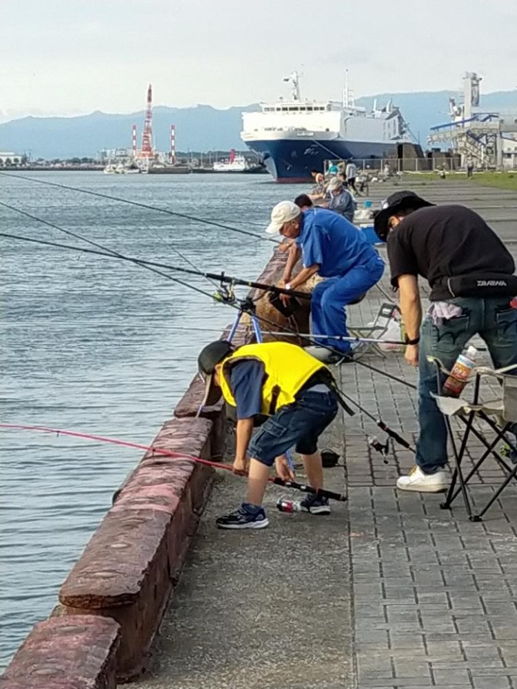想定外の朝タコ