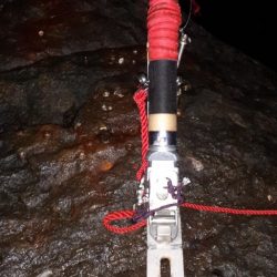 青物不在後化け物あらわる