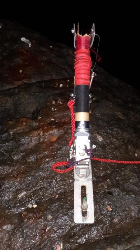 青物不在後化け物あらわる