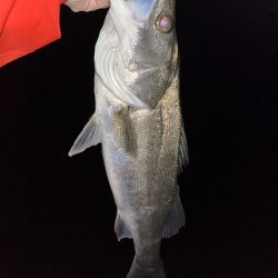 ドラマ再び・・・