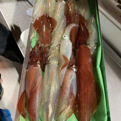 ９日マイカ半夜便