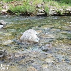 雨で水量は回復した？