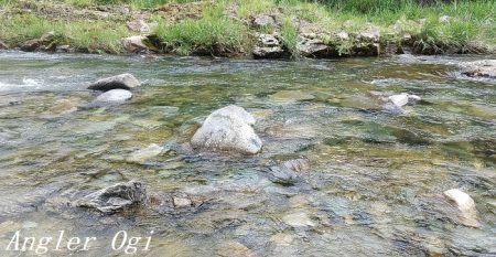 雨で水量は回復した？