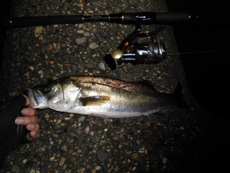 雨後のテトラ際ゲーム