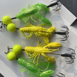 伊勢湾奥タコ釣り