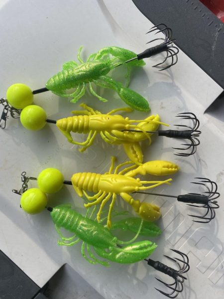 伊勢湾奥タコ釣り