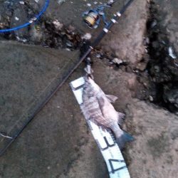 3日目でようやく釣れました