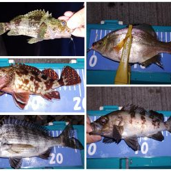 エギングとメバリング