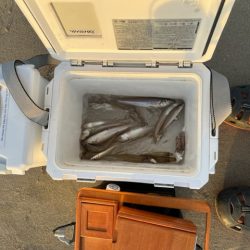 唐津方面のキスを調査してきました