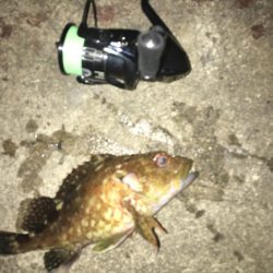 たかたかの釣り日記