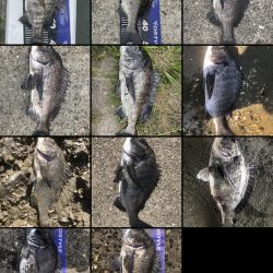 イチノ兄弟、釣果!