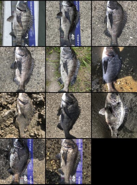 イチノ兄弟、釣果!