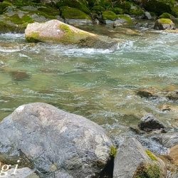 相変わらずの超渇水