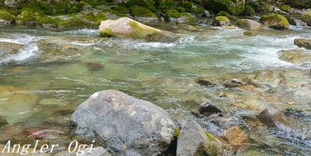 相変わらずの超渇水