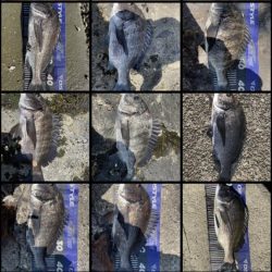 イチノ兄弟、釣果!