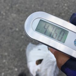 タコフィネスで5kg