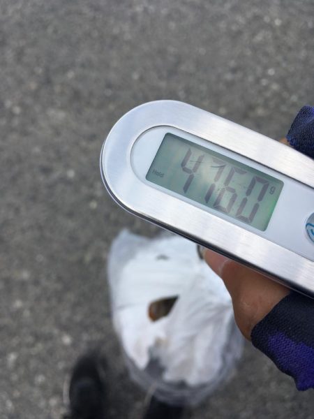 タコフィネスで5kg