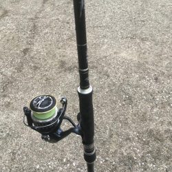 チヌ が飛び出した!