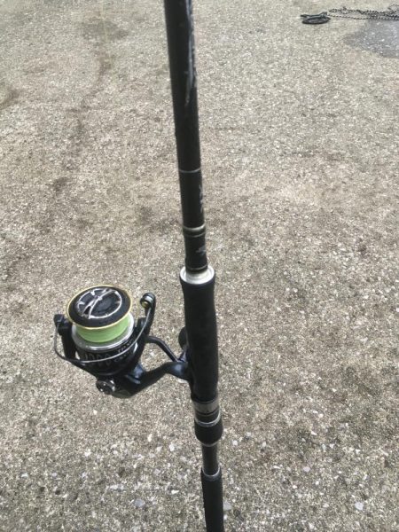 チヌ が飛び出した!