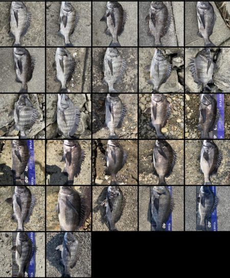 イチノ兄弟、釣果！