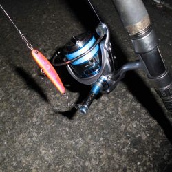 マイクロバチパターン?