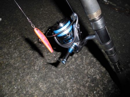 マイクロバチパターン?