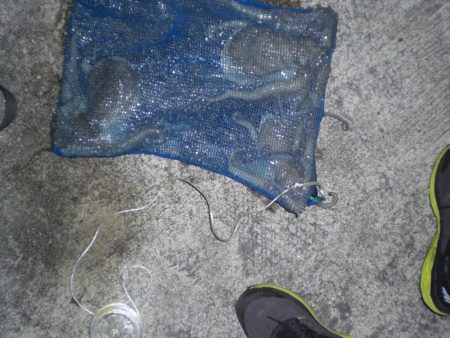 昨年分釣り上げた！！！