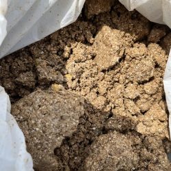 フカセリベンジ