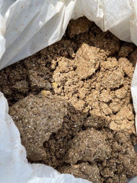 フカセリベンジ