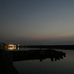 今年最初のサビキ釣り