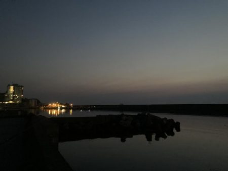 今年最初のサビキ釣り