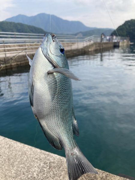 紀州釣り