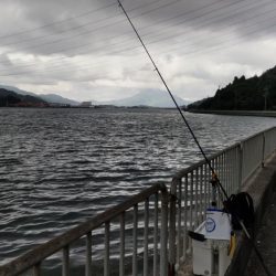 青戸入江でキス釣り