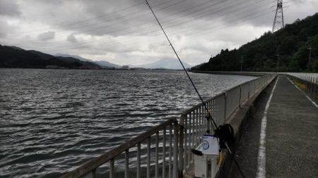 青戸入江でキス釣り