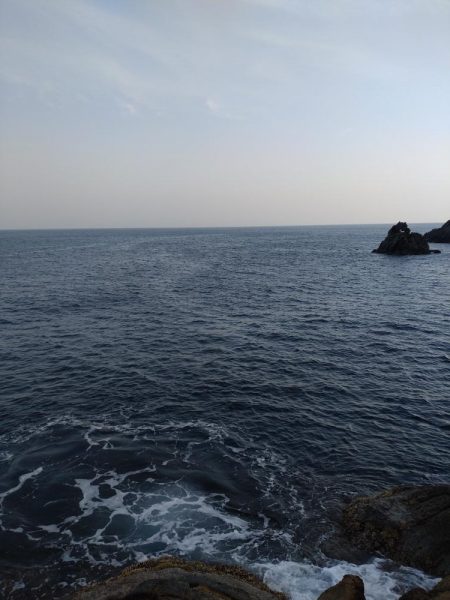 久しぶりのキジハタ