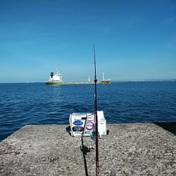 今日も潮の動きが悪い