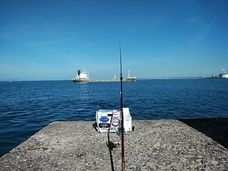 今日も潮の動きが悪い