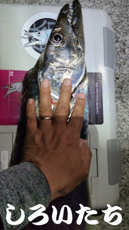 ドラゴン狙いでチャレンジ遠征。