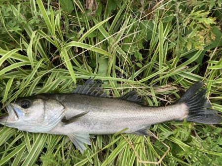 丸々二ヶ月振り