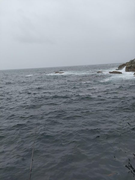 #アオリイカ2杯