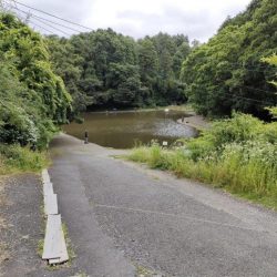 6月のトラウトはやっぱり渋いか!?