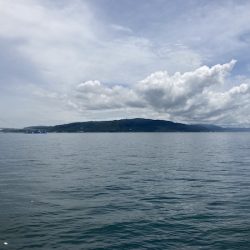 グレ狙い＆ファミリーフィッシング