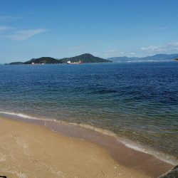 ファミリーフィッシング?