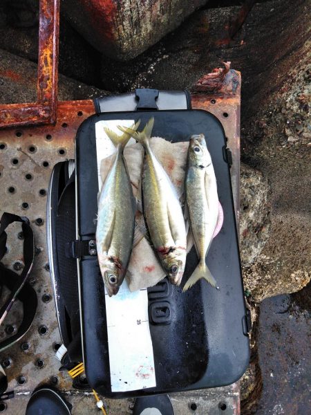 フカセ‥最高ですネ・・