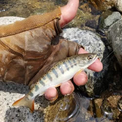 渇水と昼からはさっぱりでした