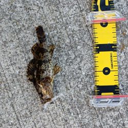 ~風の強い夕方に~