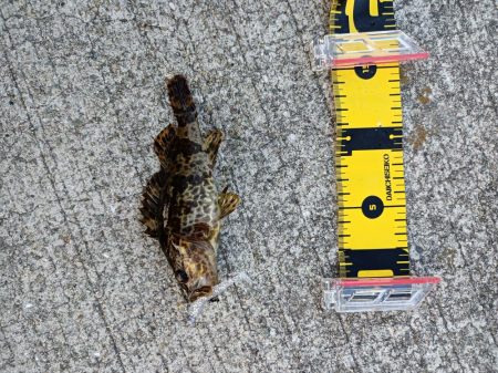 ~風の強い夕方に~