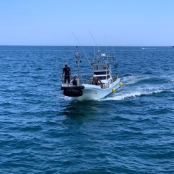 尾鷲の磯でフカセ釣り