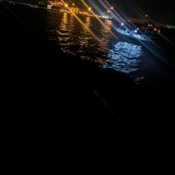 めばる入れ喰い