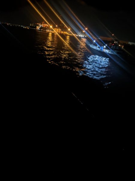 めばる入れ喰い